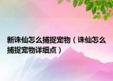 新誅仙怎么捕捉寵物（誅仙怎么捕捉寵物詳細(xì)點）