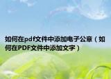 如何在pdf文件中添加電子公章（如何在PDF文件中添加文字）