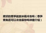 煮好的春筍能放冰箱冷凍嗎（春筍煮熟后可以冷凍保存嗎詳細(xì)介紹）