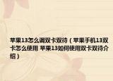 蘋果13怎么調(diào)雙卡雙待（蘋果手機13雙卡怎么使用 蘋果13如何使用雙卡雙待介紹）