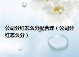 公司分紅怎么分配合理（公司分紅怎么分）