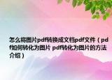 怎么將圖片pdf轉(zhuǎn)換成文檔pdf文件（pdf如何轉(zhuǎn)化為圖片 pdf轉(zhuǎn)化為圖片的方法介紹）