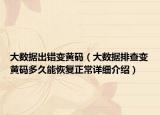 大數(shù)據(jù)出錯(cuò)變黃碼（大數(shù)據(jù)排查變黃碼多久能恢復(fù)正常詳細(xì)介紹）
