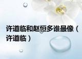 許道臨和趙恒多誰最像（許道臨）