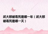 武大郎被毒死是哪一年（武大郎被毒死是哪一天）