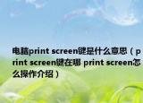 電腦print screen鍵是什么意思（print screen鍵在哪 print screen怎么操作介紹）