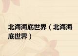 北海海底世界（北海海底世界）