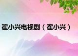 翟小興電視劇（翟小興）