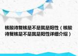 核酸待復(fù)核是不是就是陽性（核酸待復(fù)核是不是就是陽性詳細(xì)介紹）