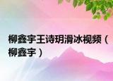 柳鑫宇王詩玥滑冰視頻（柳鑫宇）