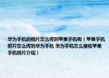 華為手機(jī)的相片怎么傳到蘋果手機(jī)呢（蘋果手機(jī)照片怎么傳到華為手機(jī) 華為手機(jī)怎么接收蘋果手機(jī)照片介紹）