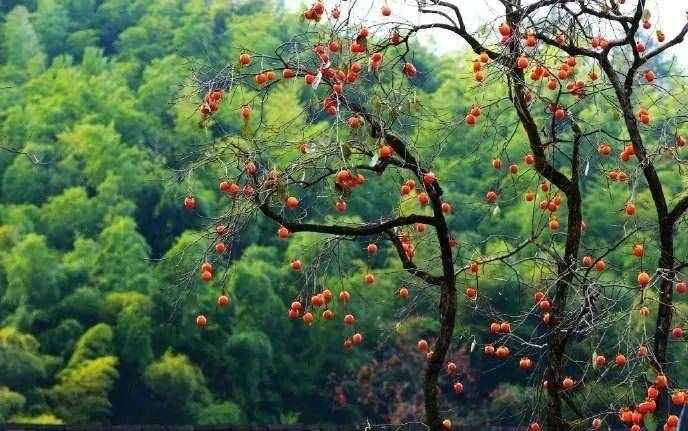 要火！寧波這三個(gè)好玩的地方獲全國(guó)和省級(jí)稱(chēng)號(hào)