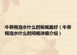 牛蒡根泡水什么時候喝最好（牛蒡根泡水什么時間喝詳細介紹）