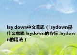 lay down中文意思（laydown是什么意思 laydown的音標(biāo) laydown的用法）