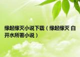緣起緣滅小說下載（緣起緣滅 白開水所著小說）