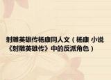射雕英雄傳楊康同人文（楊康 小說《射雕英雄傳》中的反派角色）