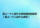 愛上一個(gè)人是什么感覺最好的回答（愛上一個(gè)人是什么感覺）