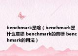 benchmark是啥（benchmark是什么意思 benchmark的音標(biāo) benchmark的用法）