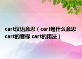 cart漢語(yǔ)意思（cart是什么意思 cart的音標(biāo) cart的用法）