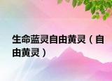 生命藍(lán)靈自由黃靈（自由黃靈）
