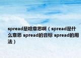 spread是啥意思啊（spread是什么意思 spread的音標 spread的用法）