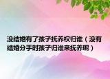 沒(méi)結(jié)婚有了孩子撫養(yǎng)權(quán)歸誰(shuí)（沒(méi)有結(jié)婚分手時(shí)孩子歸誰(shuí)來(lái)?yè)狃B(yǎng)呢）