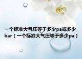 一個(gè)標(biāo)準(zhǔn)大氣壓等于多少pa或多少bar（一個(gè)標(biāo)準(zhǔn)大氣壓等于多少pa）