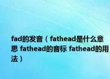 fad的發(fā)音（fathead是什么意思 fathead的音標(biāo) fathead的用法）