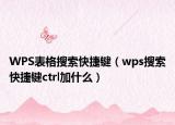 WPS表格搜索快捷鍵（wps搜索快捷鍵ctrl加什么）