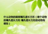 什么動物的眼部瞳孔是長方形（哪個動物的瞳孔是長方形 瞳孔是長方形的動物有哪些）