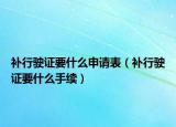 補(bǔ)行駛證要什么申請(qǐng)表（補(bǔ)行駛證要什么手續(xù)）