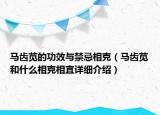 馬齒莧的功效與禁忌相克（馬齒莧和什么相克相宜詳細(xì)介紹）