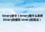 binary命令（binary是什么意思 binary的音標(biāo) binary的用法）