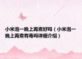 小米泡一晚上再煮好嗎（小米泡一晚上再煮有毒嗎詳細(xì)介紹）