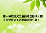 用人單位拖欠工資的賠償標(biāo)準(zhǔn)（用人單位拖欠工資的賠償怎么辦）