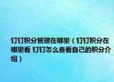 釘釘積分管理在哪里（釘釘積分在哪里看 釘釘怎么查看自己的積分介紹）