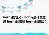 horny的含義（horny是什么意思 horny的音標(biāo) horny的用法）