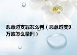 惡意透支罪怎么判（惡意透支9萬該怎么量刑）