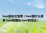 heel的中文意思（heel是什么意思 heel的音標(biāo) heel的用法）