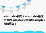 adaptable例句（adaptable是什么意思 adaptable的音標(biāo) adaptable的用法）