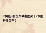 c本能開什么車舉例圖片（c本能開什么車）