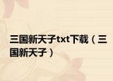 三國新天子txt下載（三國新天子）