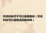 勞動糾紛可不可以直接起訴（勞動糾紛可以直接法院起訴嗎）