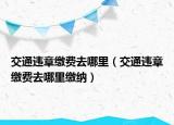 交通違章繳費(fèi)去哪里（交通違章繳費(fèi)去哪里繳納）