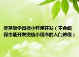 零基礎(chǔ)學(xué)微信小程序開發(fā)（不會(huì)編程也能開發(fā)微信小程序的入門教程）