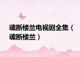 魂斷樓蘭電視劇全集（魂斷樓蘭）