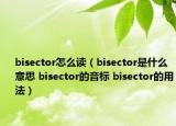 bisector怎么讀（bisector是什么意思 bisector的音標(biāo) bisector的用法）