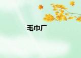 毛巾廠