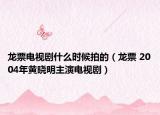 龍票電視劇什么時(shí)候拍的（龍票 2004年黃曉明主演電視劇）