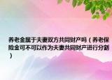 養(yǎng)老金屬于夫妻雙方共同財(cái)產(chǎn)嗎（養(yǎng)老保險(xiǎn)金可不可以作為夫妻共同財(cái)產(chǎn)進(jìn)行分割）